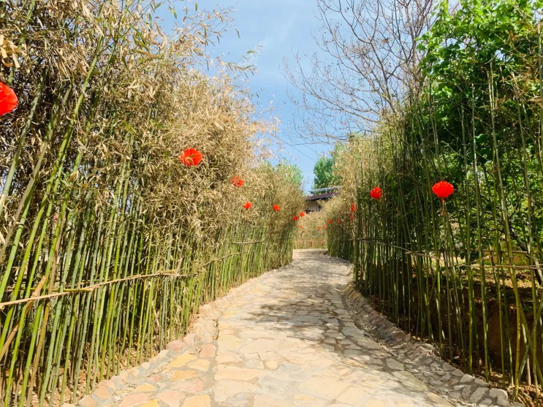 王湾民俗村新增这些亮眼风景,你确定不进来看看?