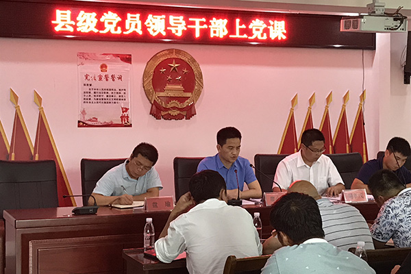 廖小红深入双牌茶林镇上党课