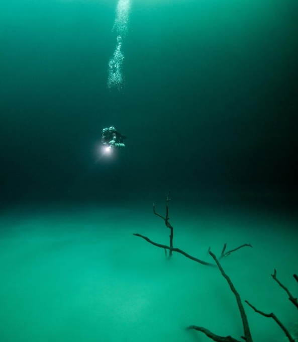 "深海恐惧症患者"慎点!16张深海测试图,你敢看到第几张呢?