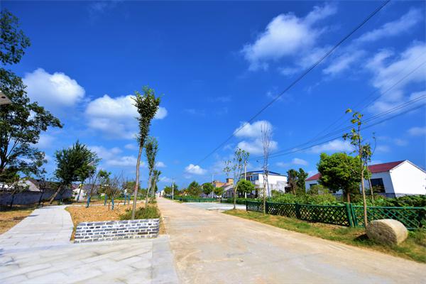 肥东县八斗镇:环境整治描绘美丽乡村新画卷