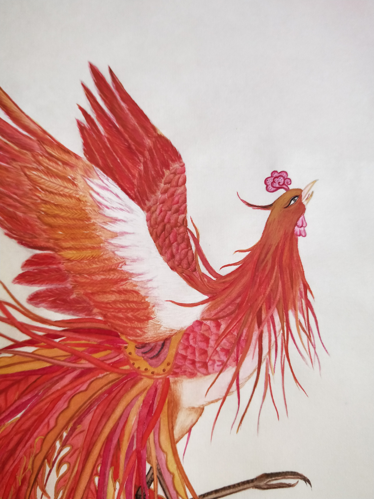 丹凤朝阳图(黄丽燕国画传统吉祥图案工笔花鸟画)