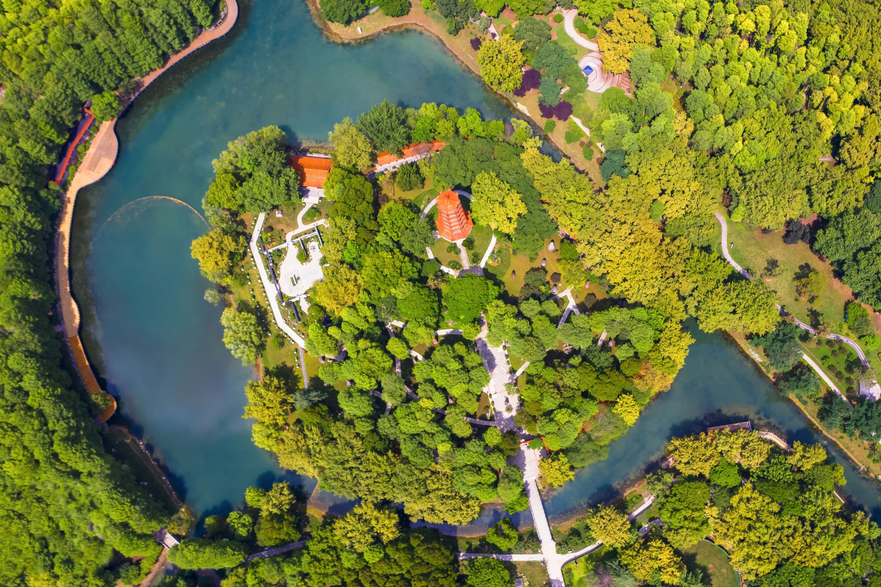 城市公园升级为"精致公园",解放公园树林深处也有别样花海