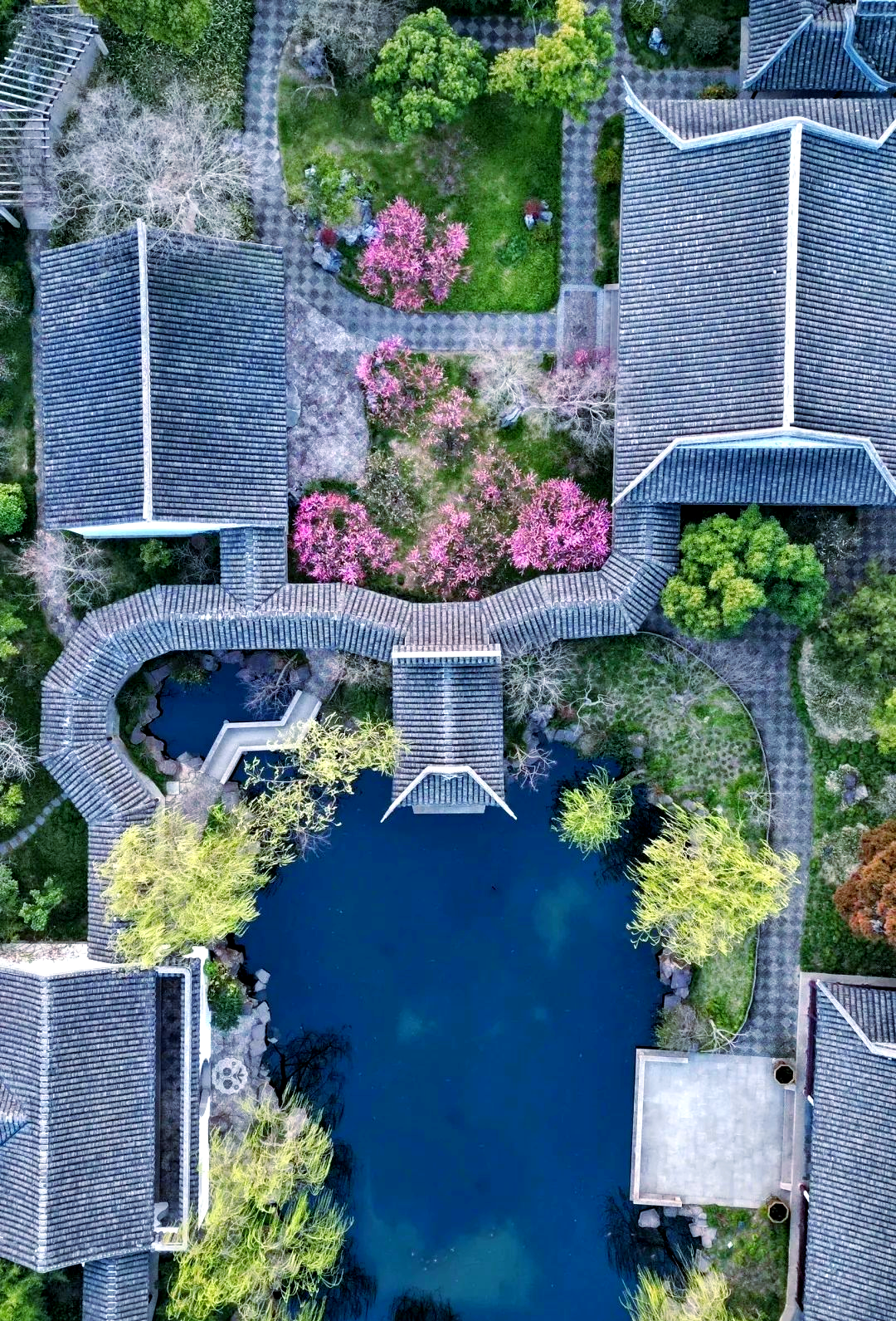 岭南多处园林探秘:领略古典美学与历史风情