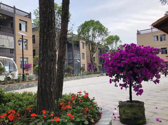 重庆周边最便宜的避暑房来了!只要2400元/平就在丰都方斗山!