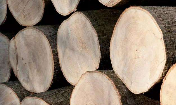 白栎木和白橡木的区别