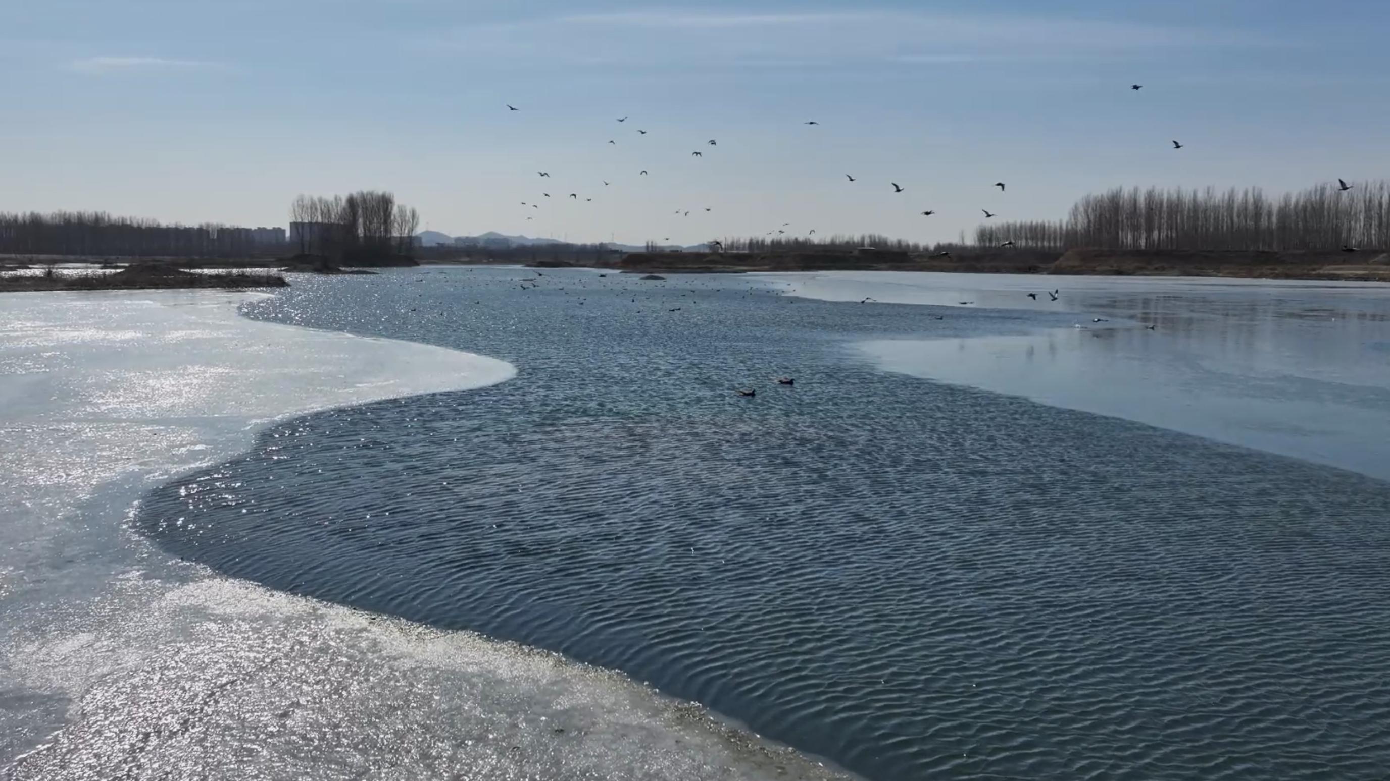 千城胜景|河北秦皇岛:青龙河畔觅春踪