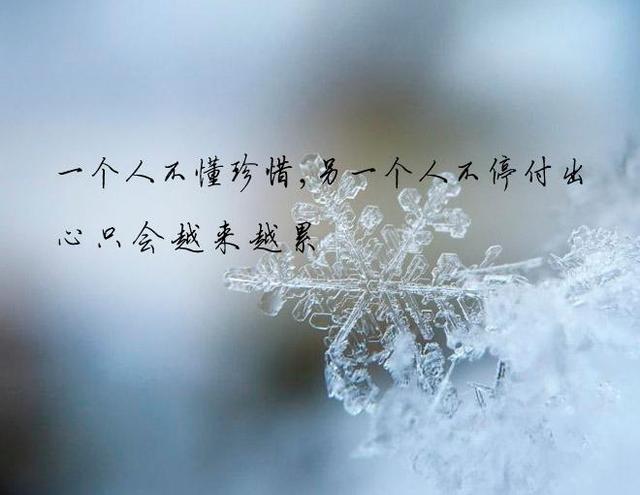 男女之间最好的感情是什么样的啊?什么是真正的感情?