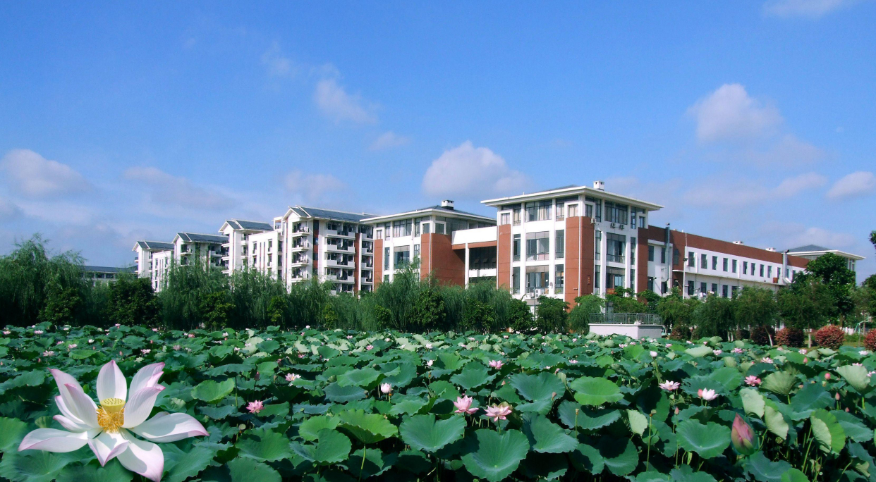 广西民族大学相思湖图片