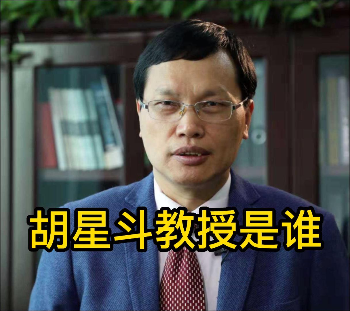 弱势群体经济学专家胡星斗教授