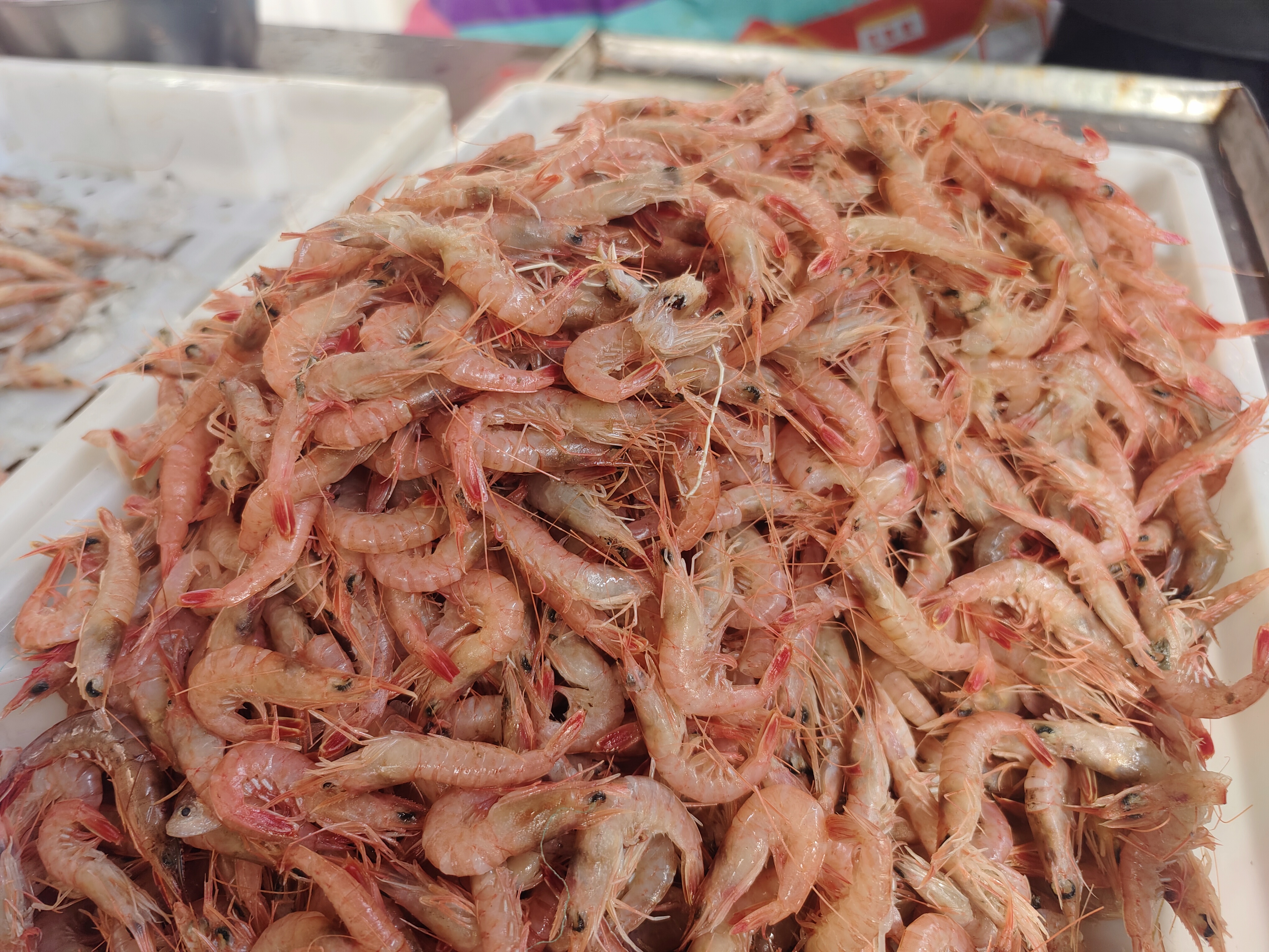 青岛早市,蛎虾比和青虾更便宜,而且还是野生的,哪种更受欢迎?