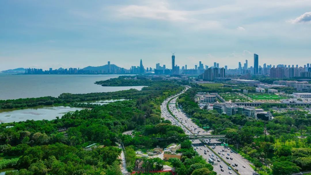 打造城市生态"新名片"!深圳福田红树林湿地入选国际重要湿地名录