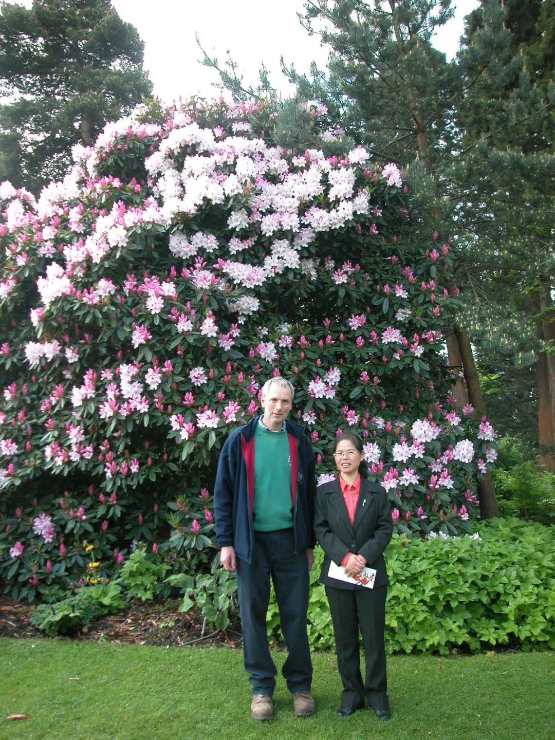 蜜观人物丨上海植物园张春英当看向一片杜鹃花海我看到过去稚嫩的生命