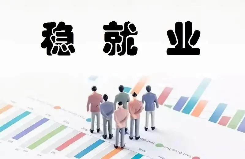 就业是最大的民生问题,稳就业,促发展,薪龙网在行动