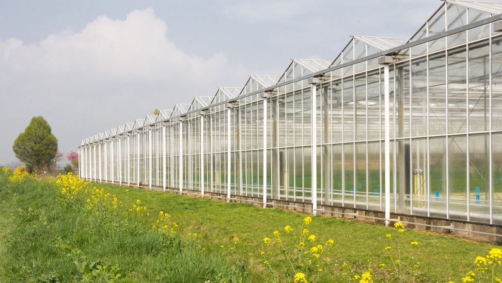 寿光建蔬菜大棚的公司-金投农业