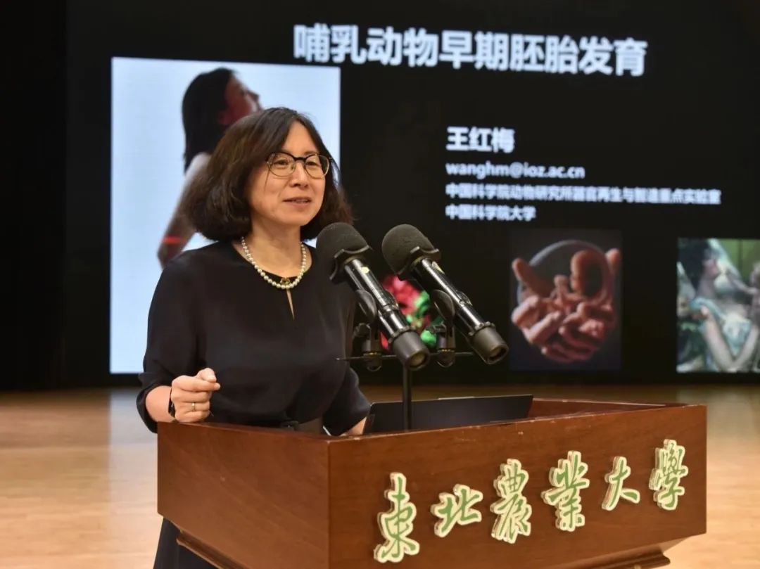 东北农业大学举办第十五届秦鹏春教育基金生命科学论坛