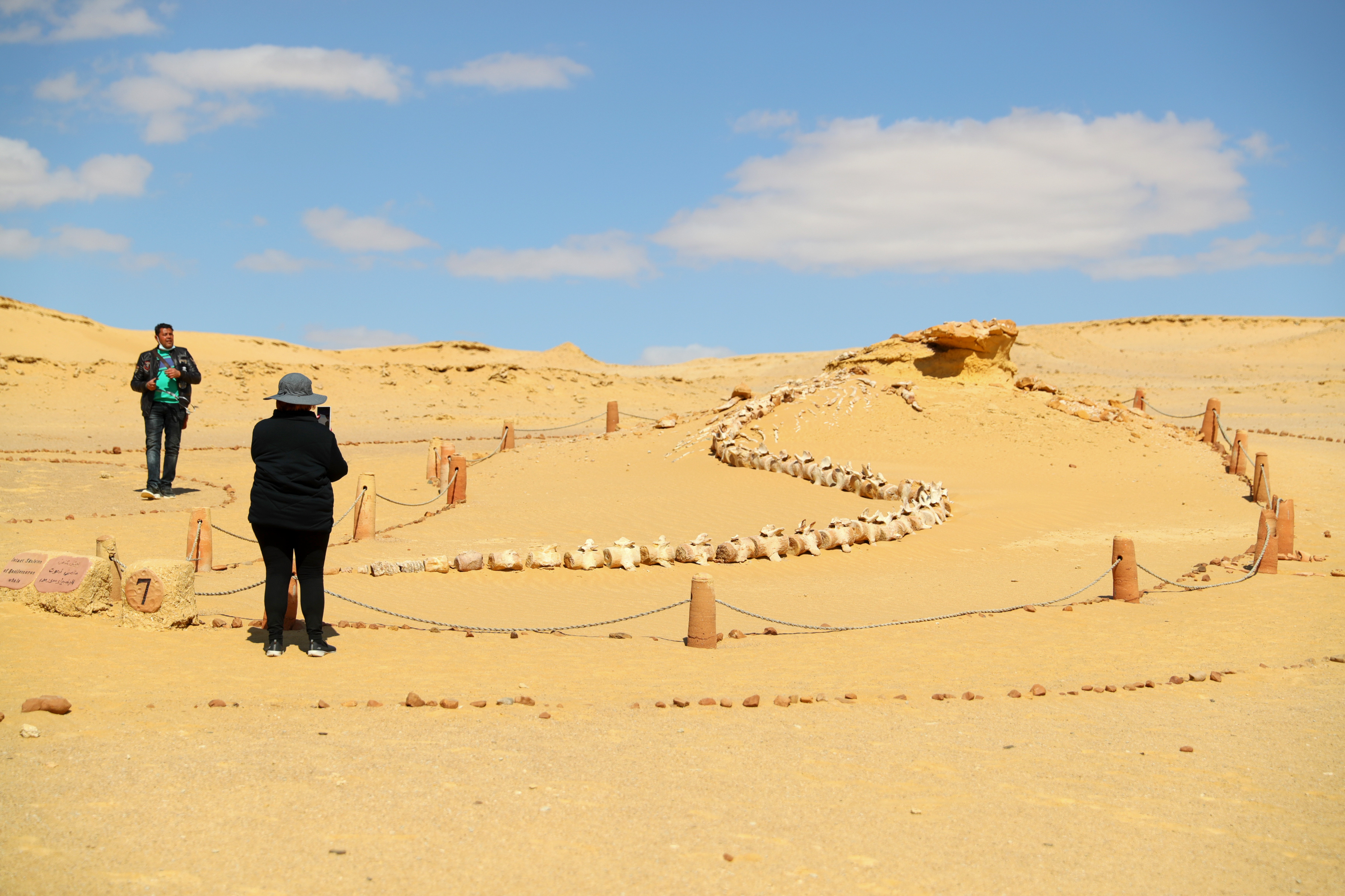 埃及法尤姆:这里的沙漠有"鲸鱼"