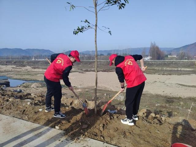 团风县但店镇开展"学雷锋"义务植树志愿服务活动