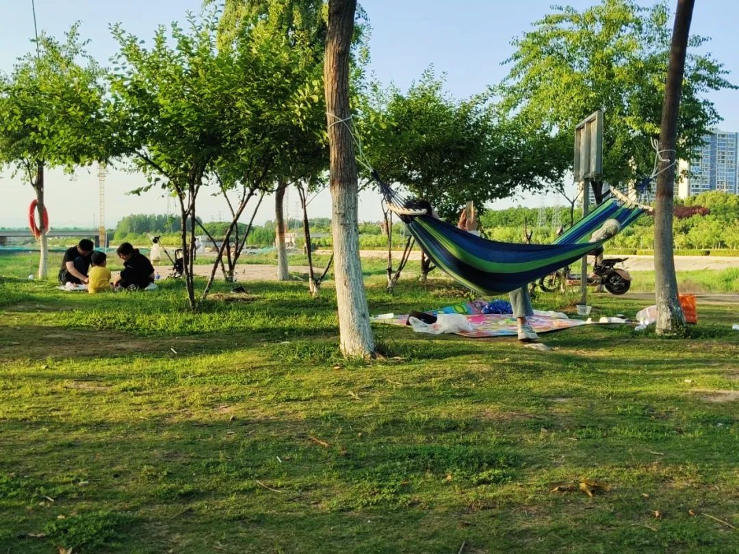 近日,镇平县赵河湿地公园月季花竞相开放,市民纷纷到此打卡游玩.