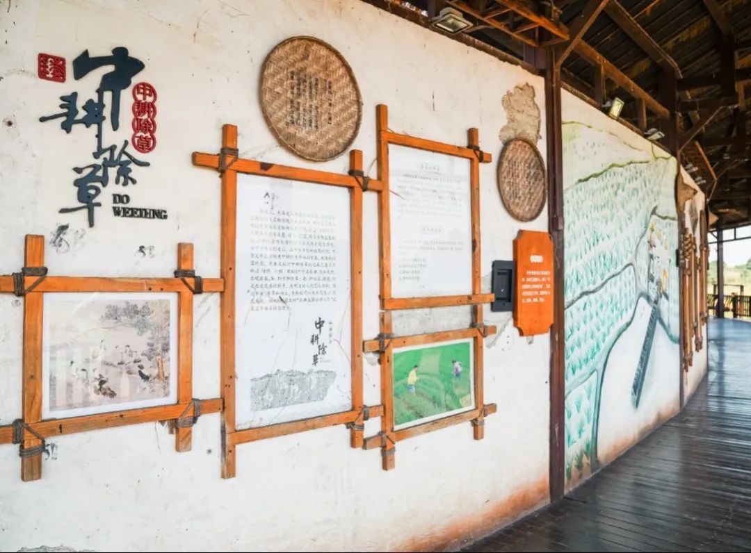 这个旅游日,在宁乡这么玩