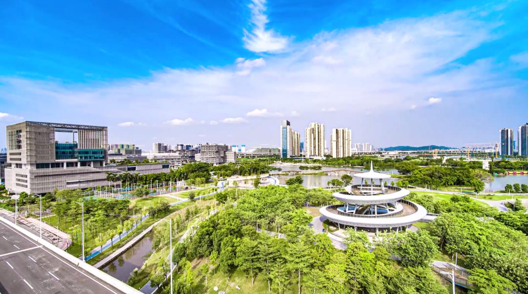 畅想湾区·青年说 | 新经济,让这位广佛"顶流"焕发新活力!