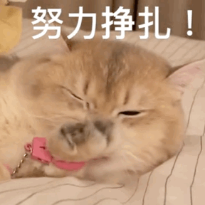 表情包分享:气到冒烟!