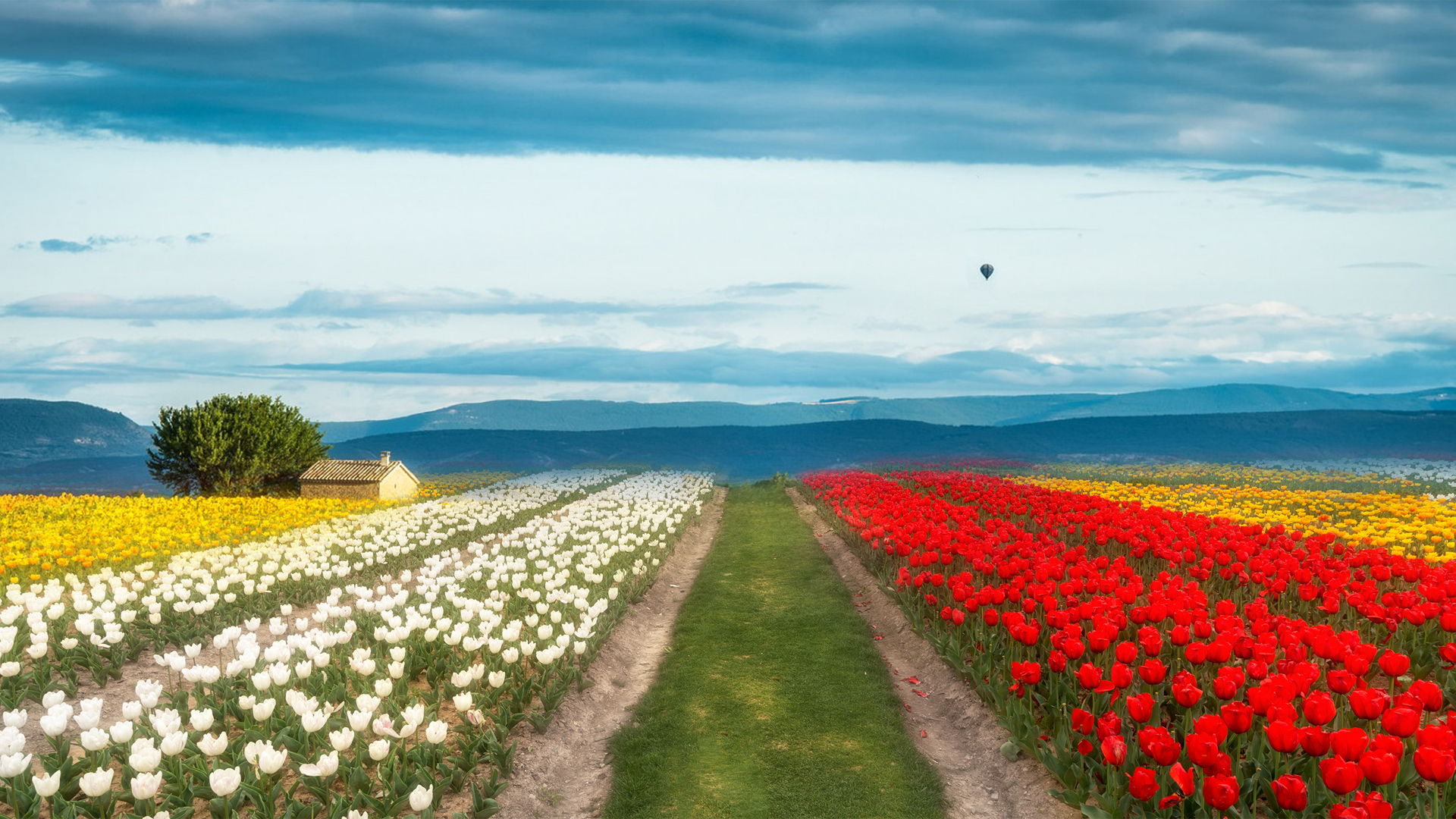 忙碌是一种幸福 奔波是一种快乐
