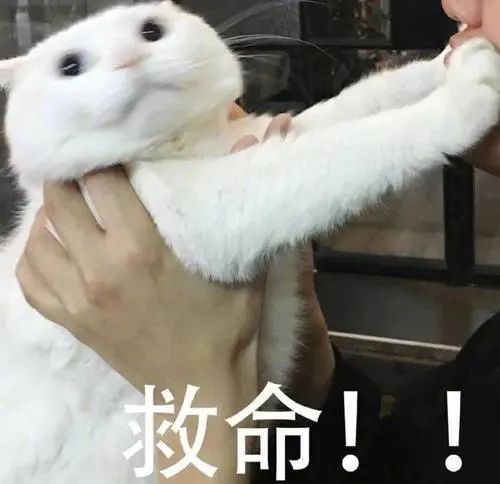今晚就到!梅雨强势回归,台风最新消息也有了