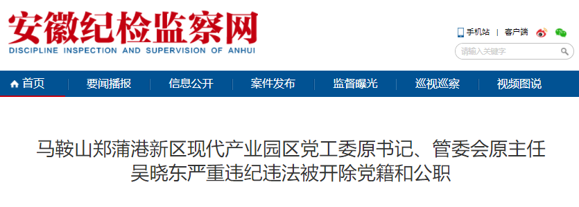 马鞍山郑蒲港新区现代产业园区党工委原书记吴晓东被双开