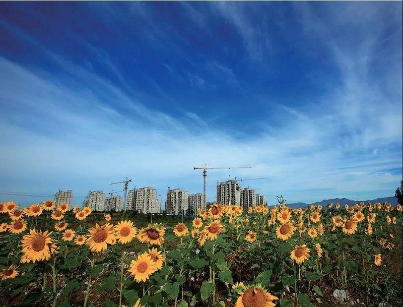 「宣传贯彻区委五届十三次全会精神」夏各庄镇牢记初心使命 奋力打造