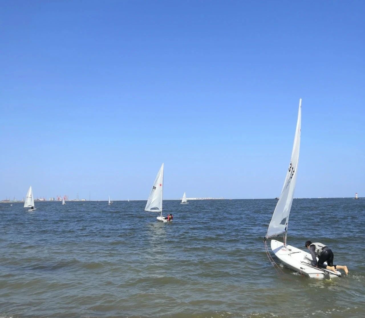 乘风破浪!日照市帆船帆板队在省锦标赛中获佳绩