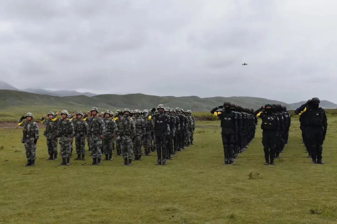 全警实战大练兵丨果洛州公安局特警支队,独立骑兵一营果洛州骑兵连
