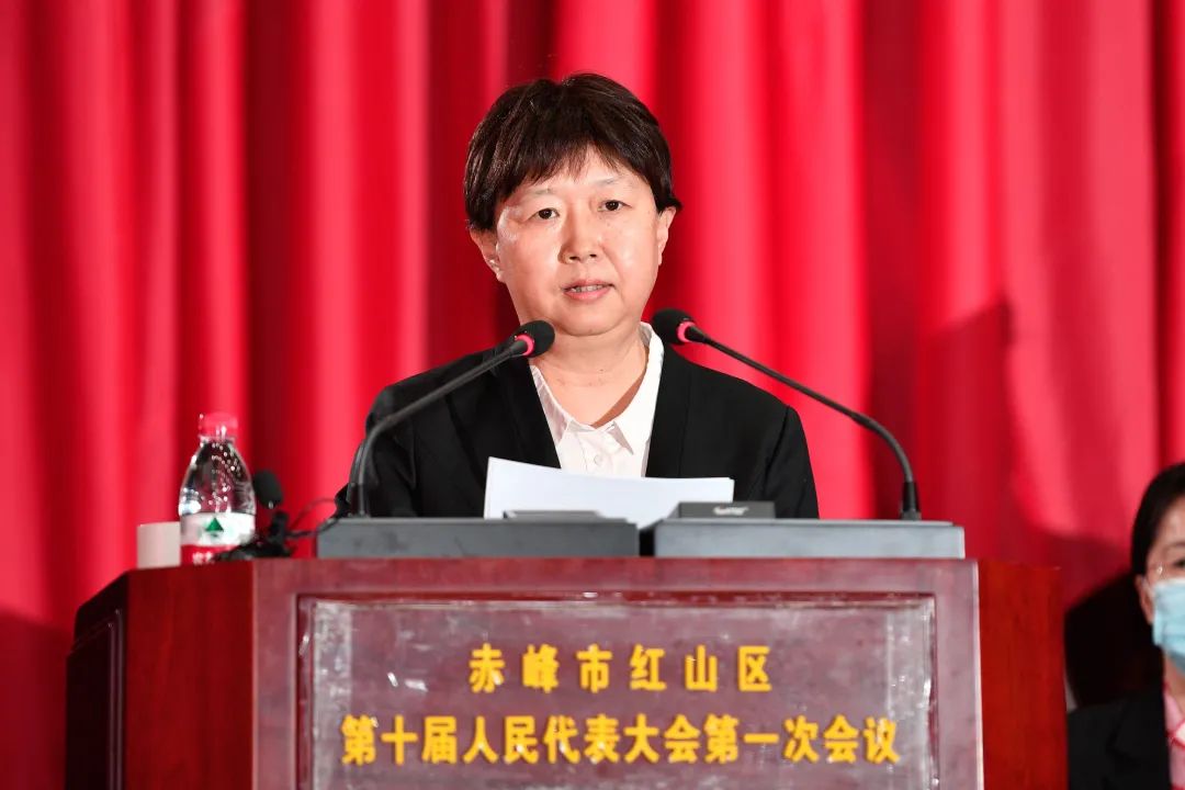副主任,委员,红山区人民政府区长,副区长,红山区监察委员会主任,红山