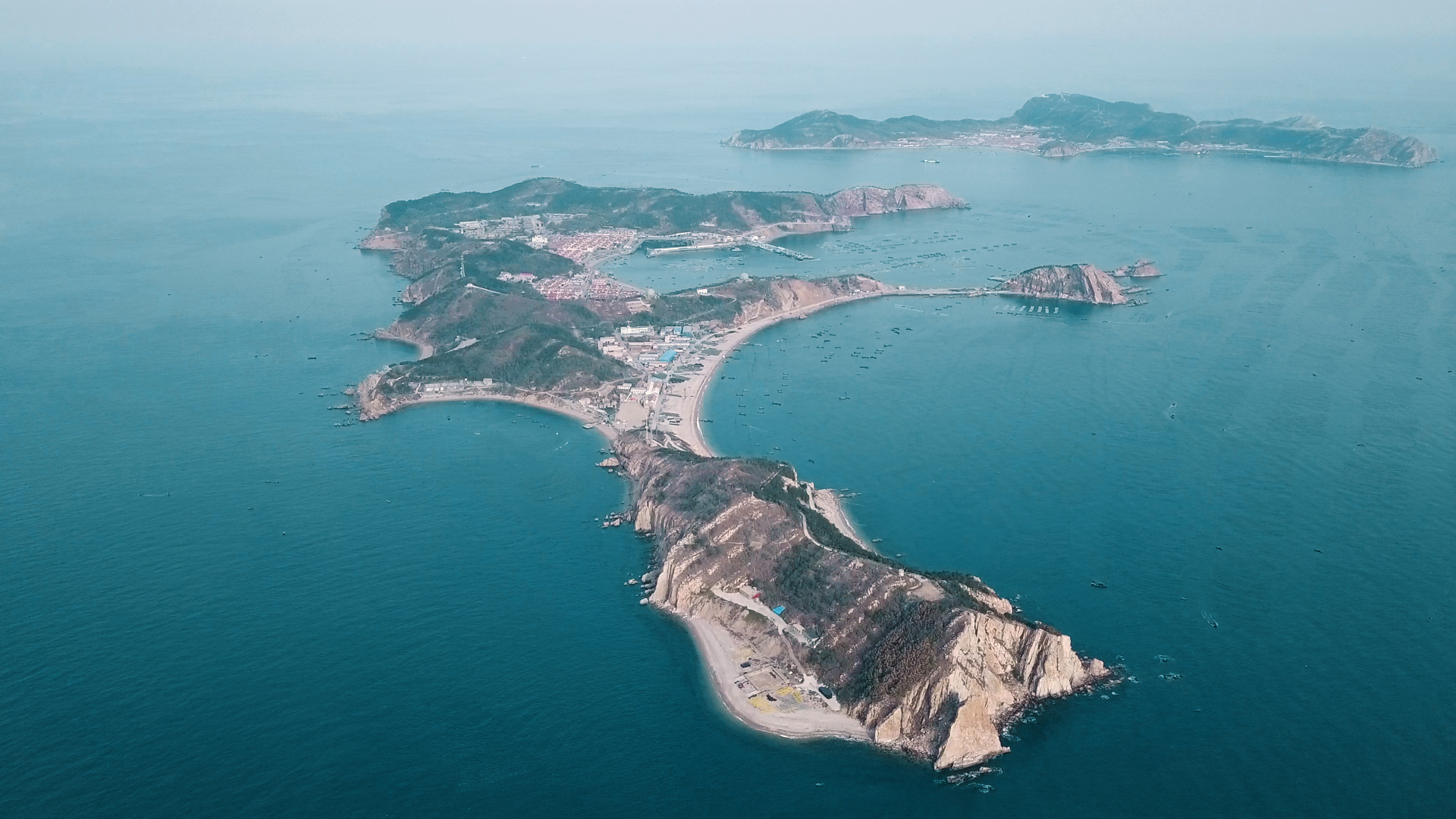 南隍城何以成为「中集」的原生态海珍品特供基地?