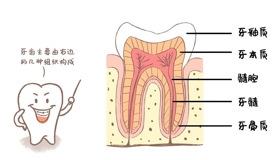 牙周炎能使用冲牙器吗?严防四大缺点副作用