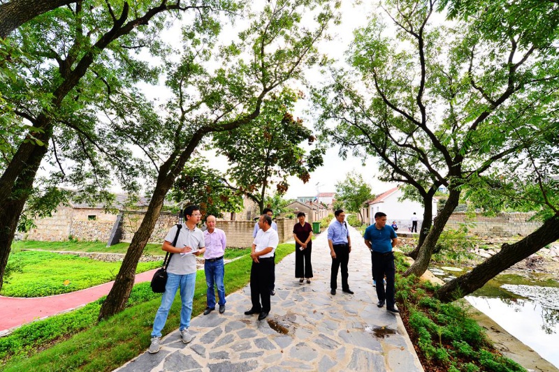 张八岭 苗木经济带来乡村新面貌