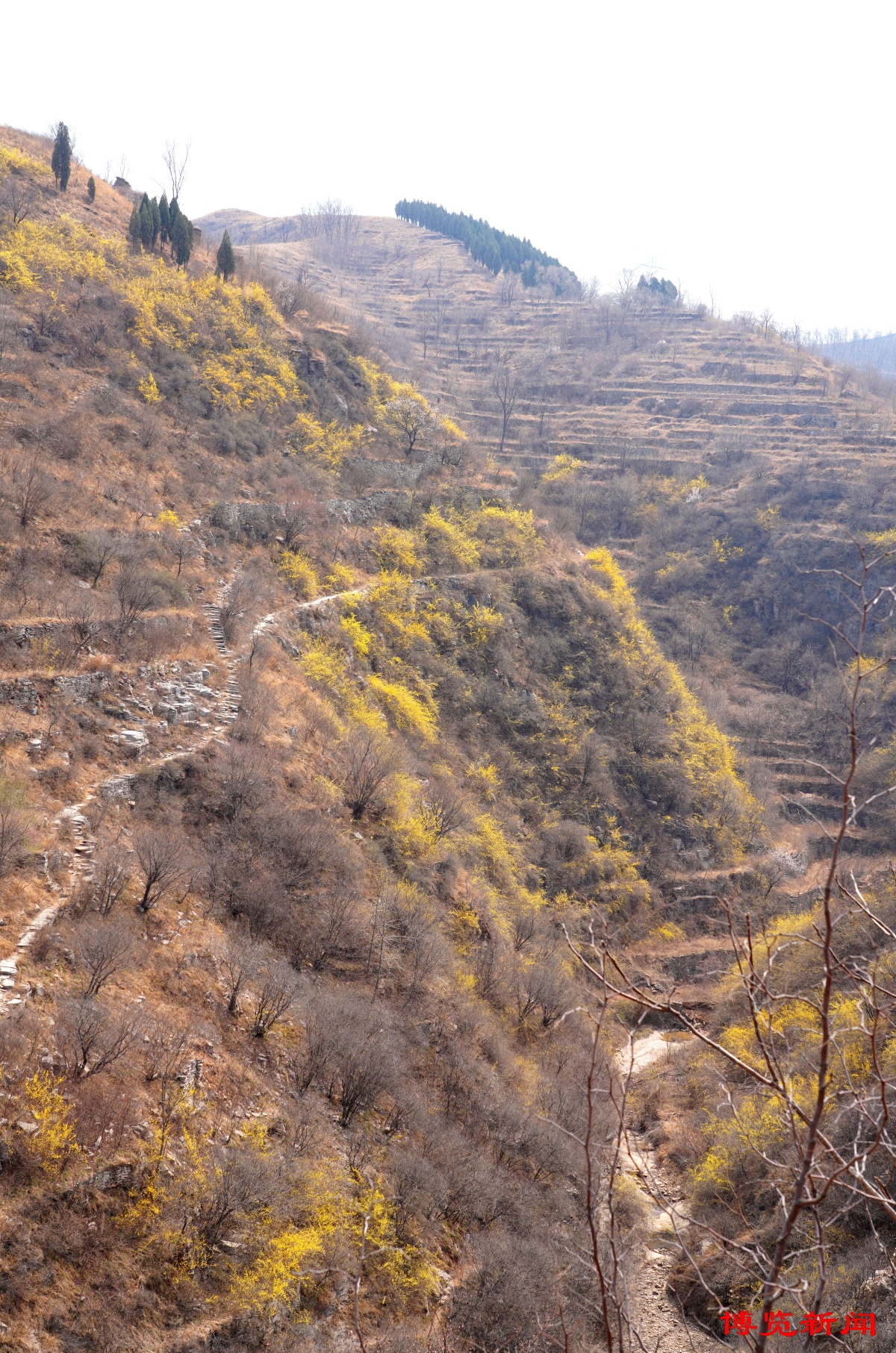 博山镇门峪村图片