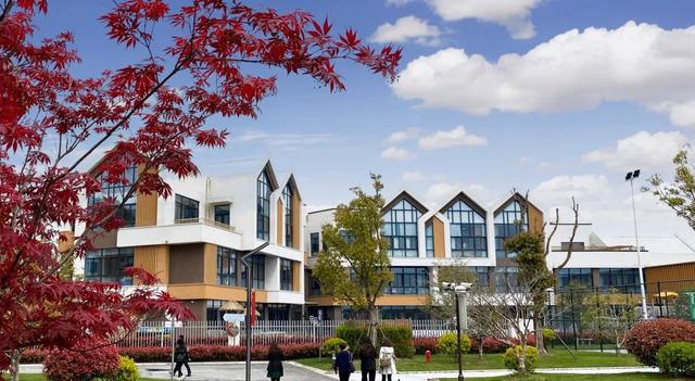 上海青浦协和双语幼儿园园长:构筑快乐童年,奠基终身幸福的能力