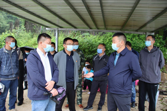 马子兴到明光镇调研