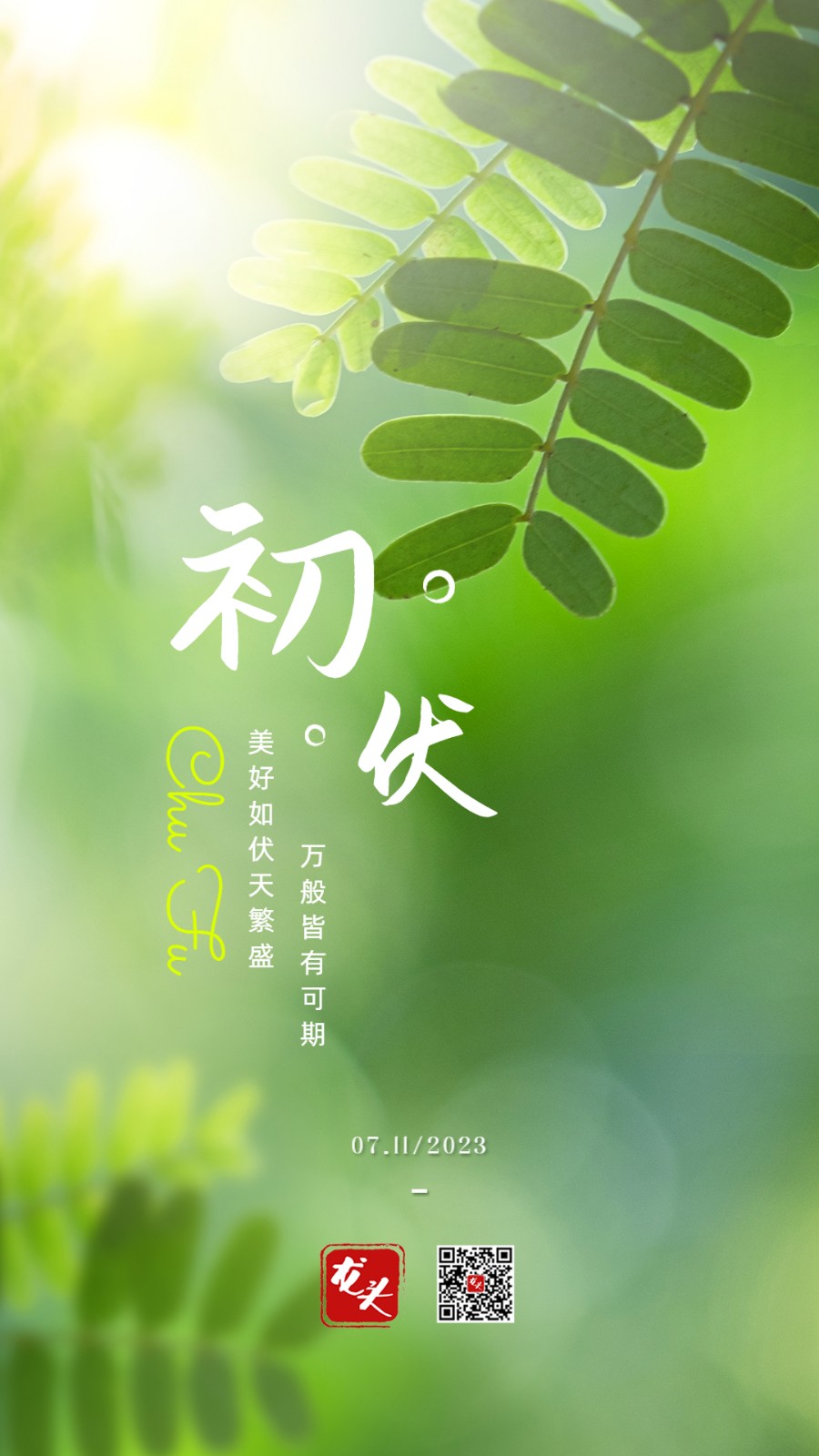 900_1600竖版 竖屏