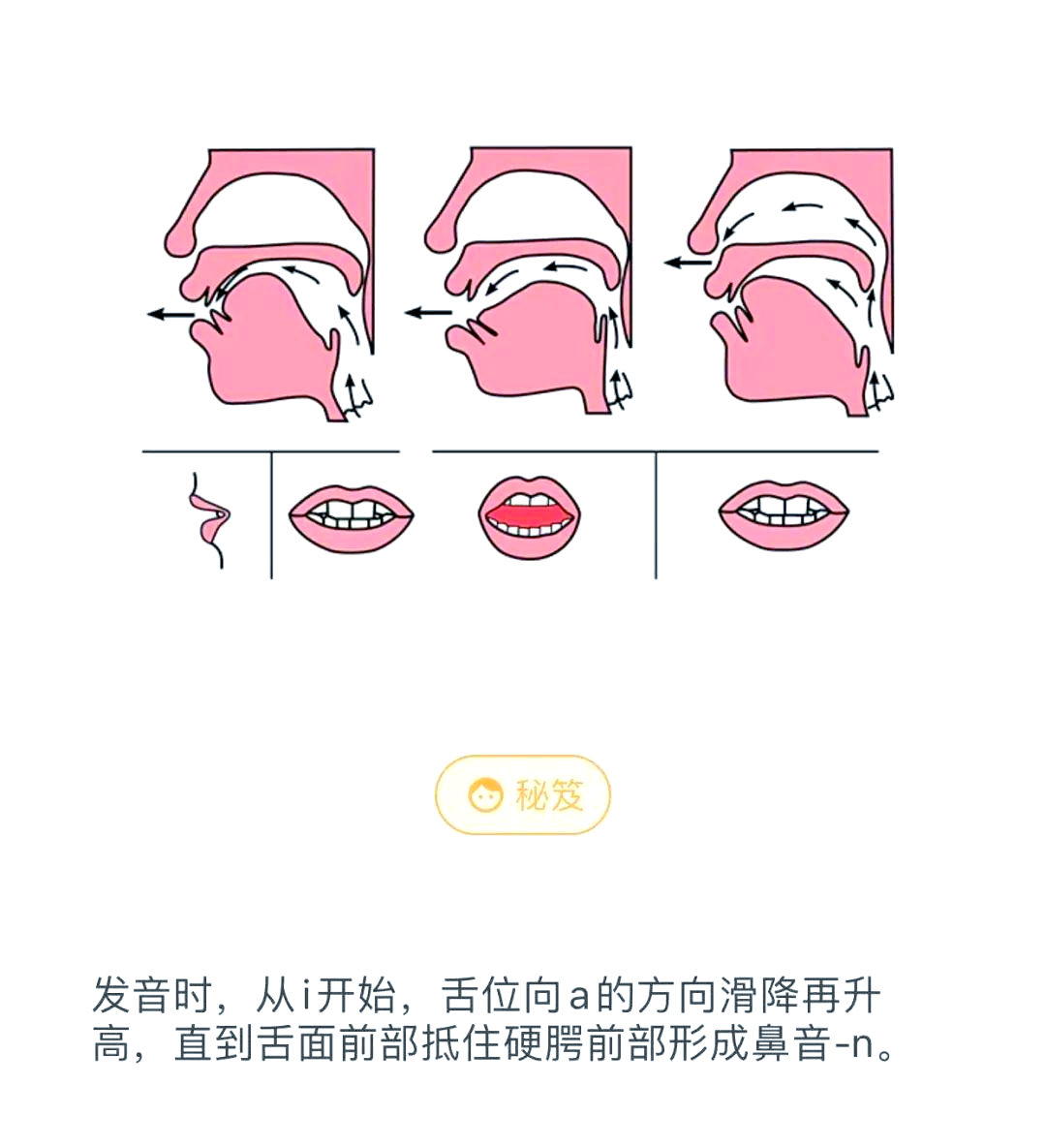 普通话韵母分类与发音技巧