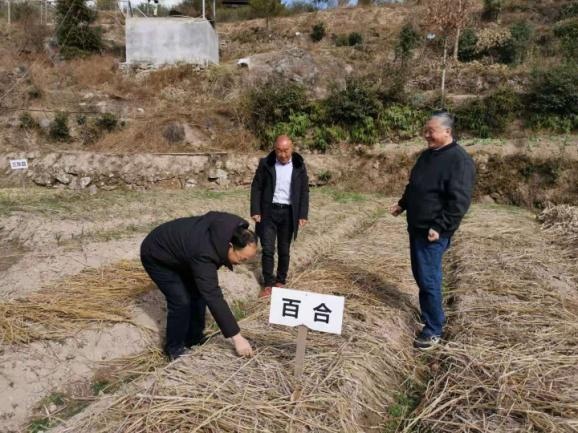 点赞科特派|农业抗寒抗冻,他们第一时间出现在田间地头