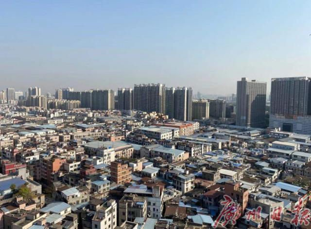 中大布市所在地 康乐村鹭江村旧改项目敲定合作方
