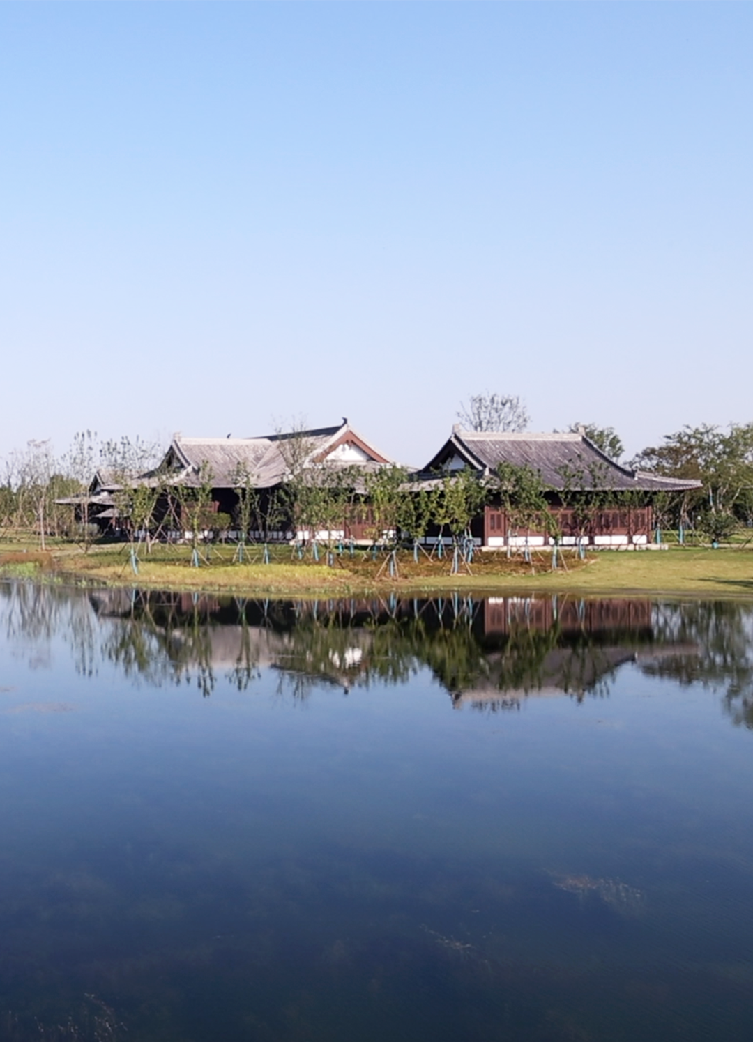 阜阳西湖 风景图片