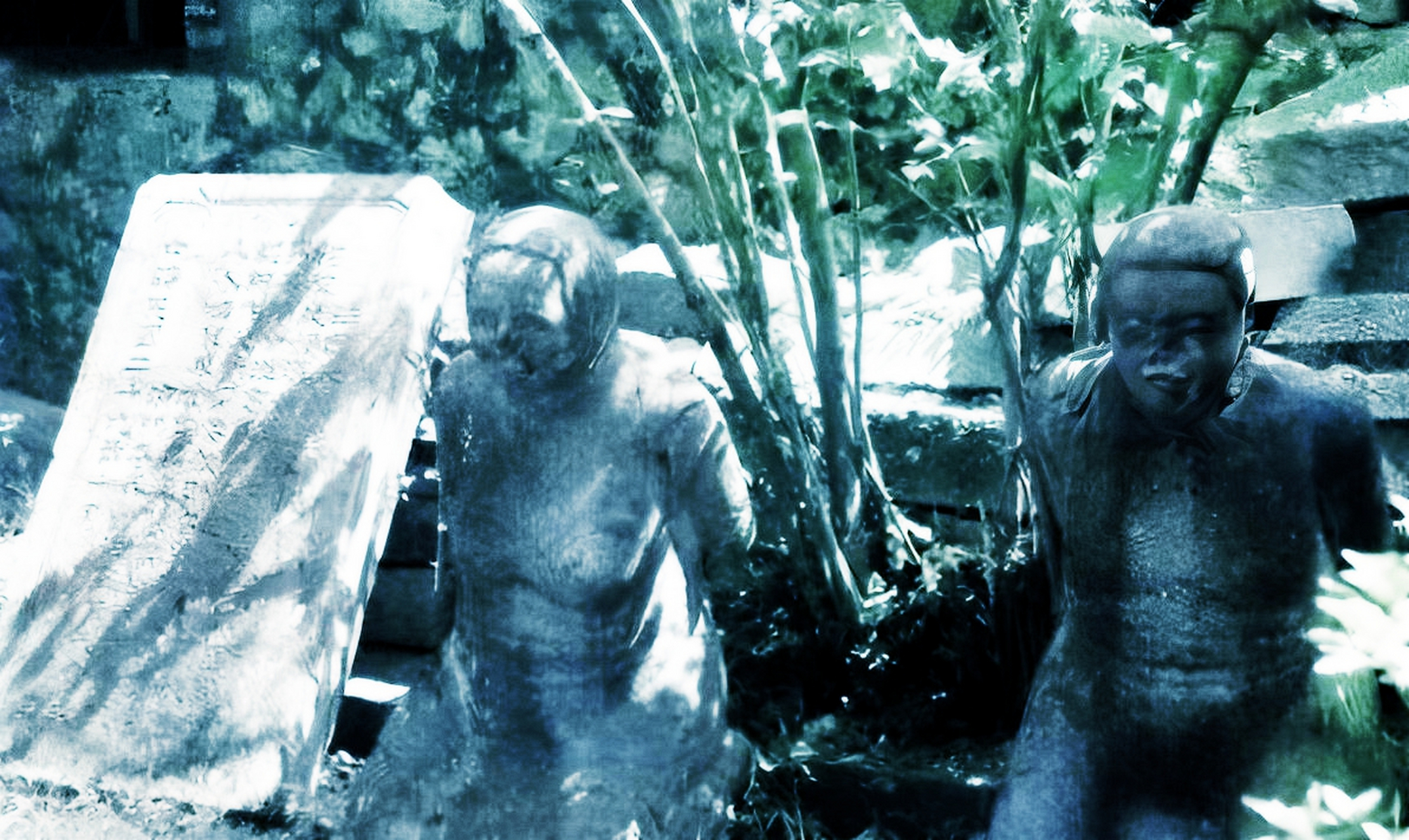 汪精卫的小儿子汪文悌非常反对父母的一些做法.