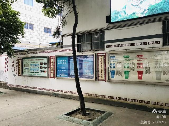 魏塘镇解放一村新貌