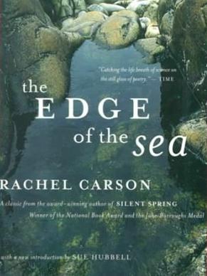 蕾切尔·卡逊:《寂静的春天》背后的无畏人生