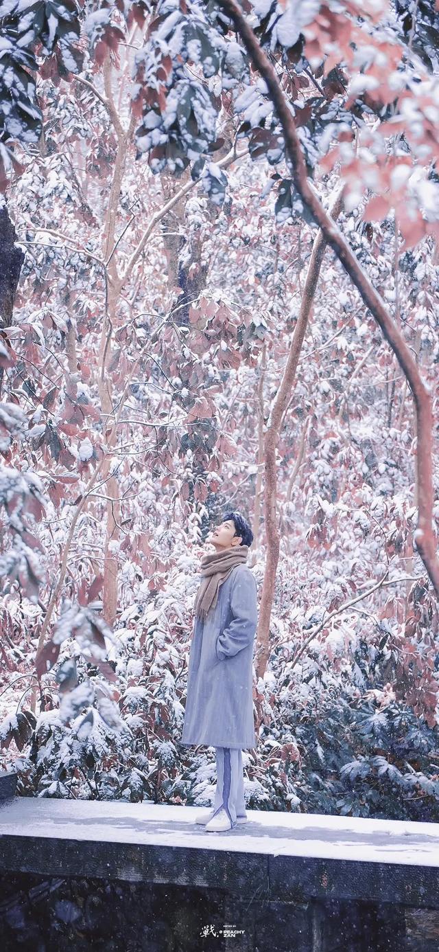 肖战壁纸,太帅了