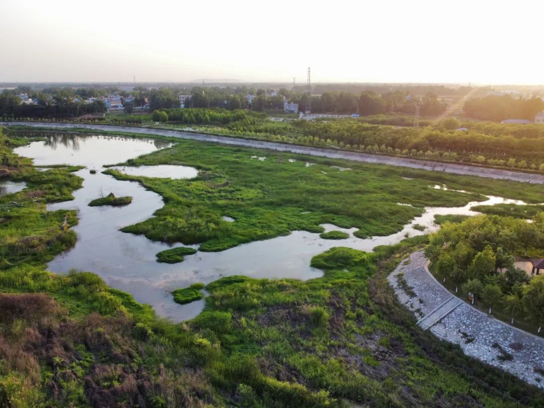 近日,镇平县赵河湿地公园月季花竞相开放,市民纷纷到此打卡游玩.