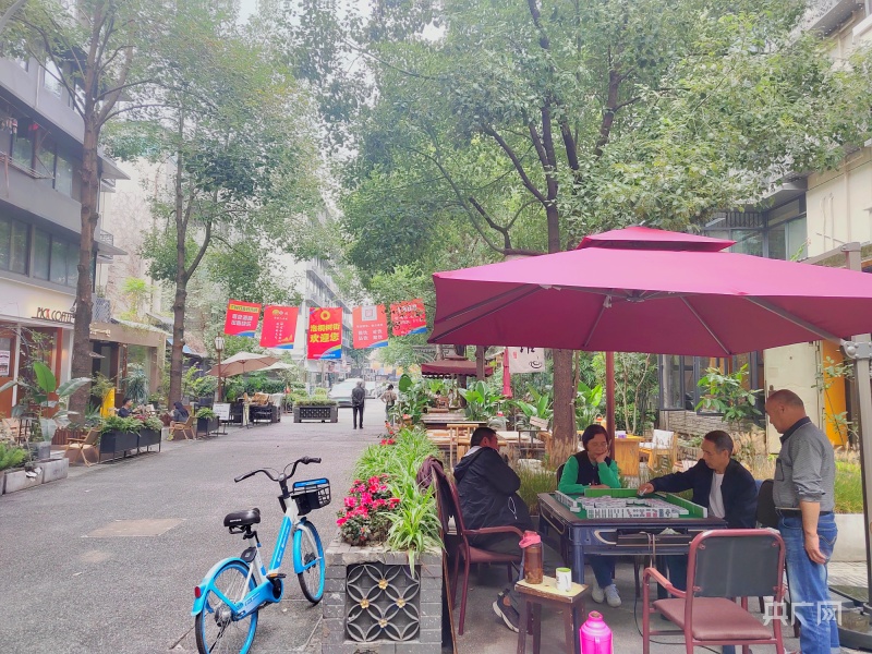到成都的街头走一走|泡桐树街:感受老街的文艺与温馨