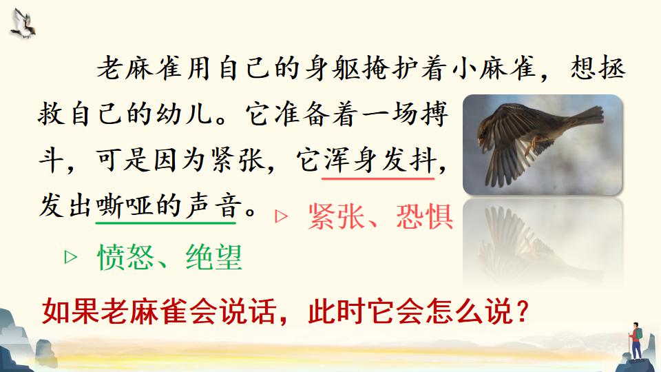 部編語文四年級上冊課文16《麻雀》精品課件教案